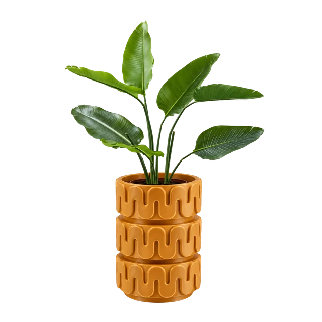 A wavy orange planter with a leafy plant